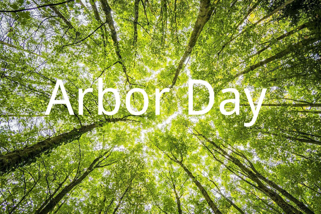 Isopia’s Arbor Day Revolution: Fostering a Greener Tomorrow